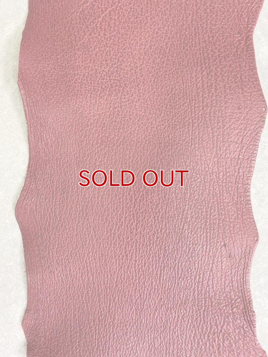 画像2: シャーク　レッド　頭ハリ加工　サメ革　鮫革　シャークスキン (2)