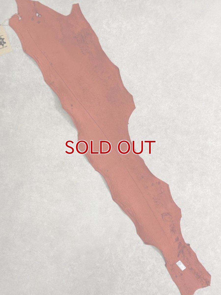 画像7: シャーク　レッド　頭ハリ加工　サメ革　鮫革　シャークスキン (7)