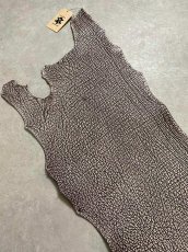 画像2: シャーク　白×茶　サメ革　鮫革　シャークスキン　 (2)