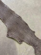 画像6: シャーク　白×茶　サメ革　鮫革　シャークスキン　 (6)
