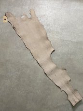 画像8: シャーク　白×茶　サメ革　鮫革　シャークスキン　 (8)