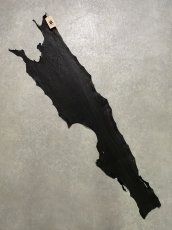 画像1: シャーク　ブラック　鮫革　シャークスキン (1)