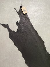 画像3: シャーク　ブラック　鮫革　シャークスキン (3)