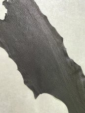 画像4: シャーク　ブラック　鮫革　シャークスキン (4)