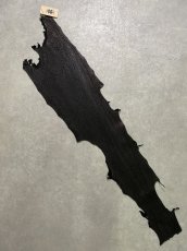 画像1: シャーク　ブラック　鮫革　シャークスキン (1)