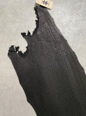画像2: シャーク　ブラック　鮫革　シャークスキン (2)