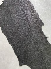 画像3: シャーク　ブラック　鮫革　シャークスキン (3)