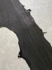 画像4: シャーク　ブラック　鮫革　シャークスキン (4)
