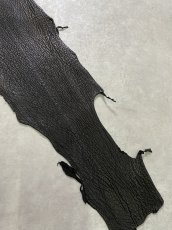 画像5: シャーク　ブラック　鮫革　シャークスキン (5)