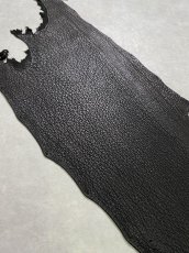 画像6: シャーク　ブラック　鮫革　シャークスキン (6)