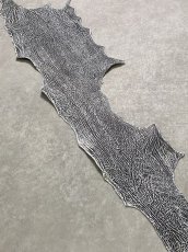 画像5: シャーク　ブラック×ホワイト　サメ革　鮫革　シャークスキン (5)
