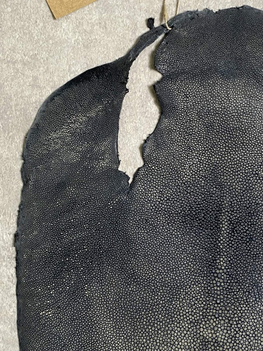 画像2: スティングレイ 吟スリ グレー 11インチ (2)