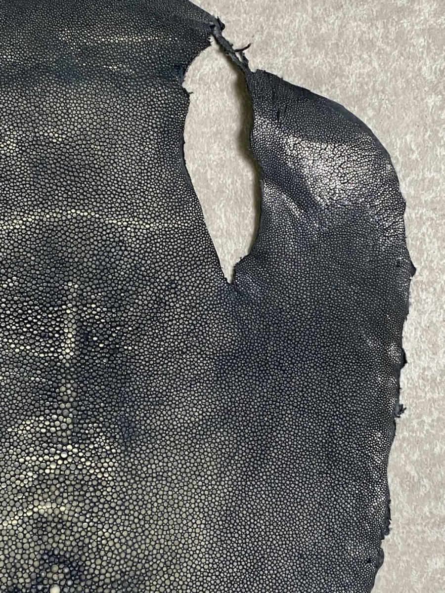 画像3: スティングレイ 吟スリ グレー 11インチ (3)