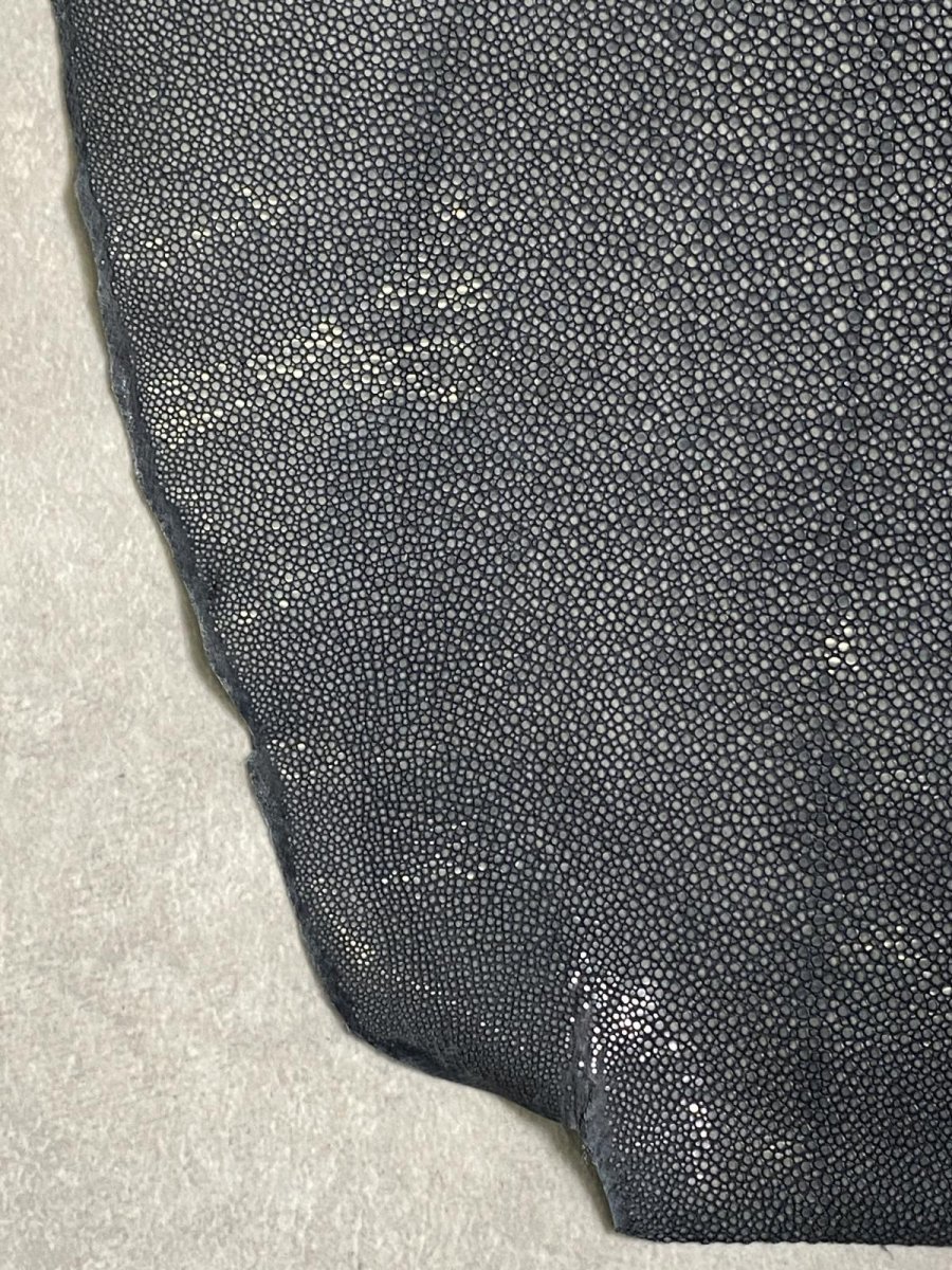 画像4: スティングレイ 吟スリ グレー 11インチ (4)