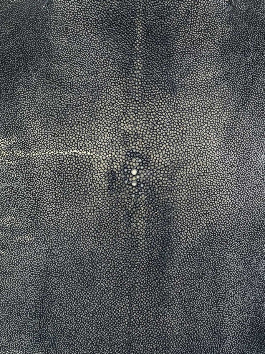 画像6: スティングレイ 吟スリ グレー 11インチ (6)