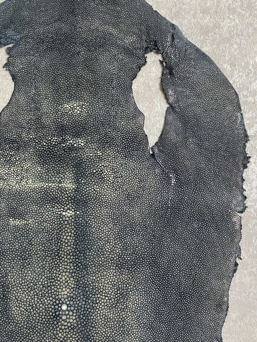 画像3: スティングレイ 吟スリ グレー 10インチ (3)