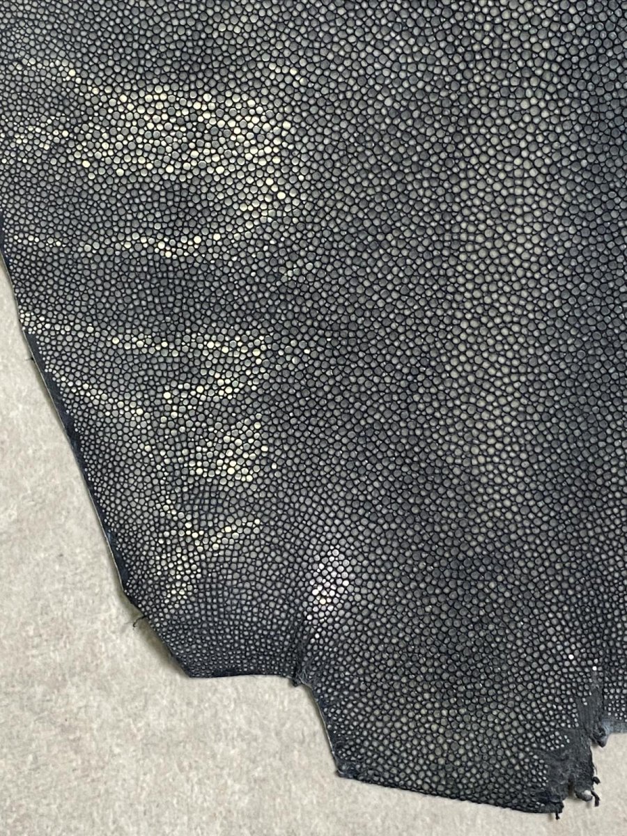 画像4: スティングレイ 吟スリ グレー 10インチ (4)