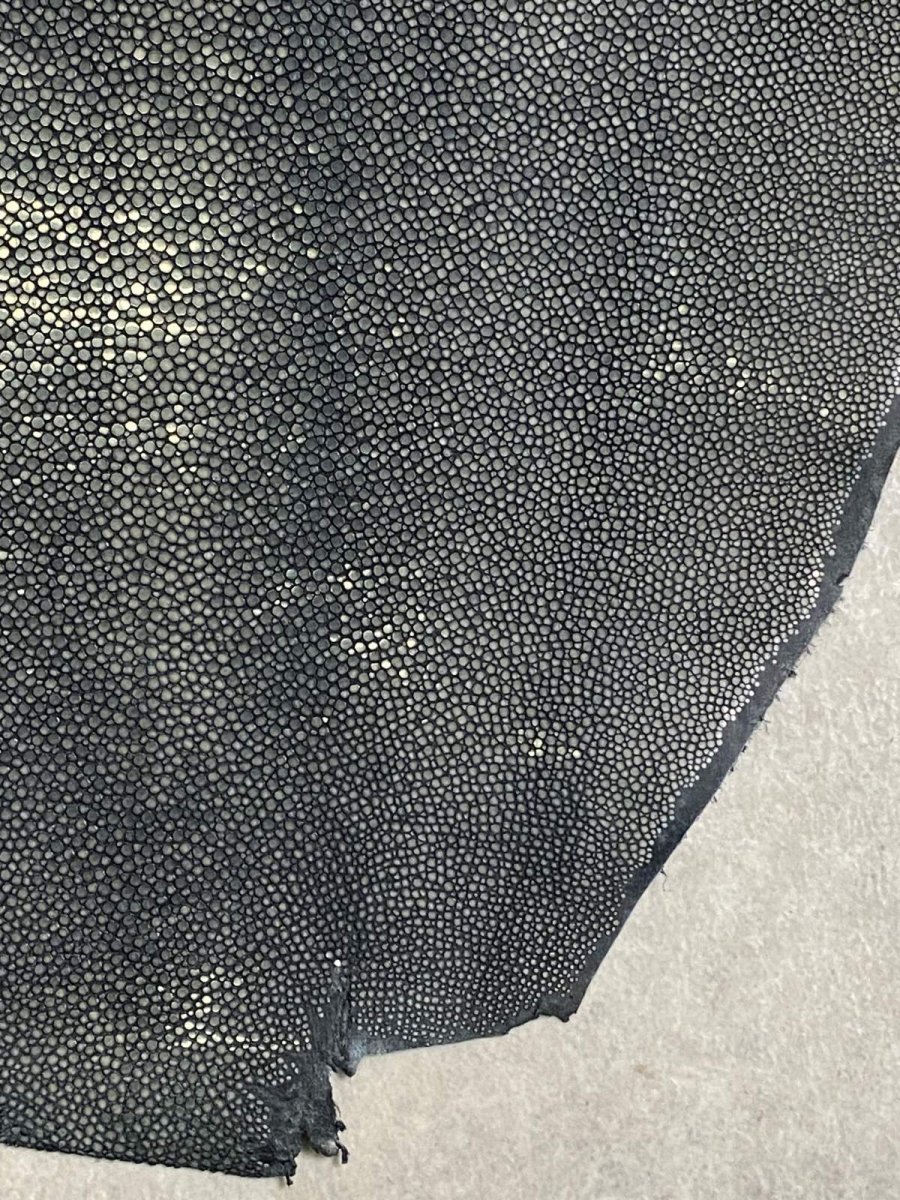 画像5: スティングレイ 吟スリ グレー 10インチ (5)