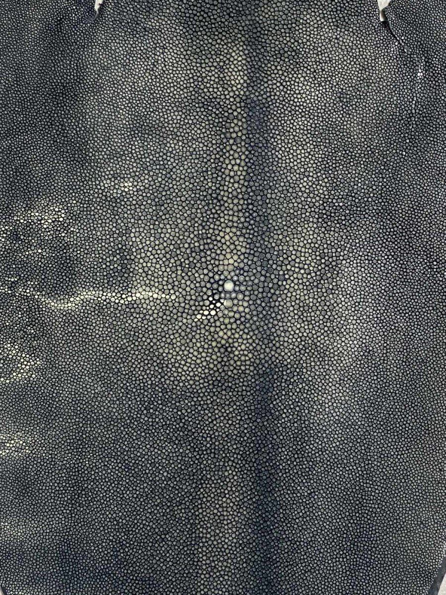 画像6: スティングレイ 吟スリ グレー 10インチ (6)