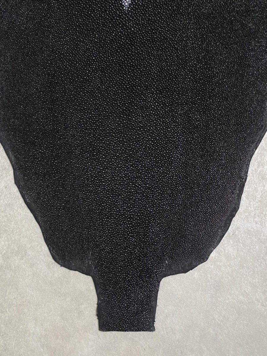 画像4: スティングレイ　ブラック　10インチ　エイ革　ガルーシャ (4)