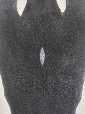 画像3: スティングレイ　ブラック　10インチ　エイ革　ガルーシャ (3)