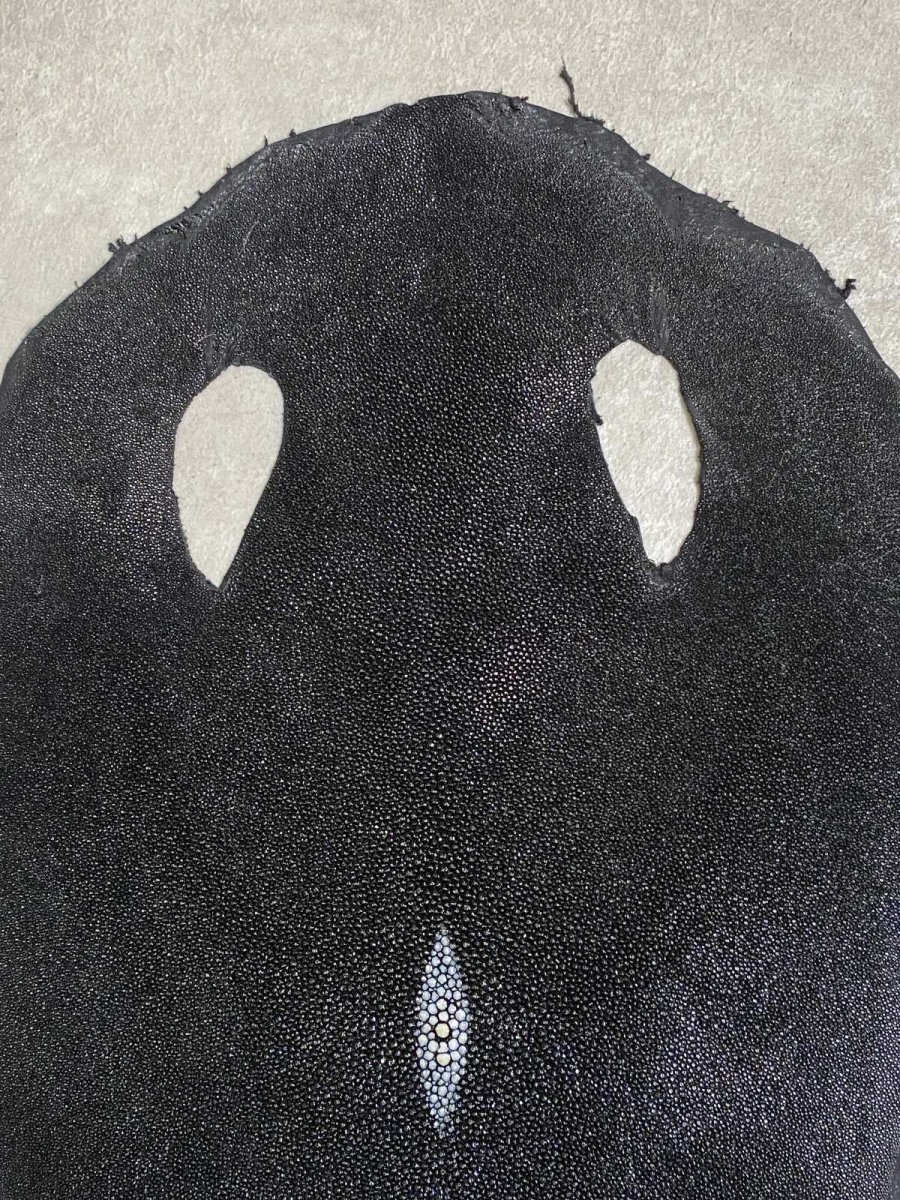 画像2: スティングレイ　ブラック　10インチ　エイ革　ガルーシャ (2)