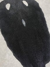 画像5: スティングレイ　ブラック　10インチ　エイ革　ガルーシャ (5)