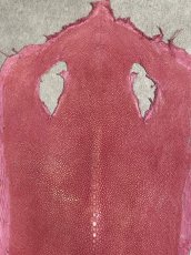 画像2: スティングレイ　吟スリ　ロング　ピンク　8インチ　エイ革　ガルーシャ (2)