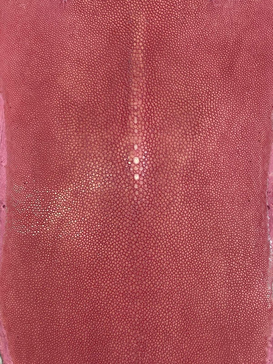 画像3: スティングレイ　吟スリ　ロング　ピンク　8インチ　エイ革　ガルーシャ (3)