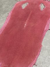 画像5: スティングレイ　吟スリ　ロング　ピンク　8インチ　エイ革　ガルーシャ (5)