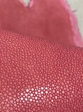 画像6: スティングレイ　吟スリ　ロング　ピンク　8インチ　エイ革　ガルーシャ (6)