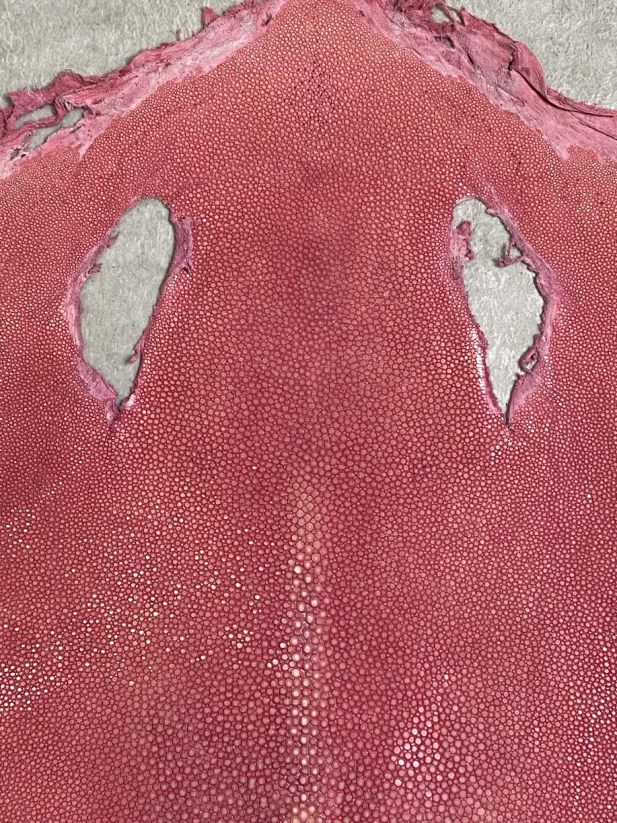 画像2: スティングレイ　吟スリ　ロング　ピンク　8インチ　エイ革　ガルーシャ (2)