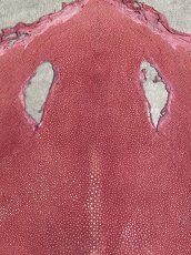 画像2: スティングレイ　吟スリ　ロング　ピンク　8インチ　エイ革　ガルーシャ (2)