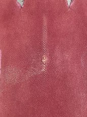 画像3: スティングレイ　吟スリ　ロング　ピンク　8インチ　エイ革　ガルーシャ (3)