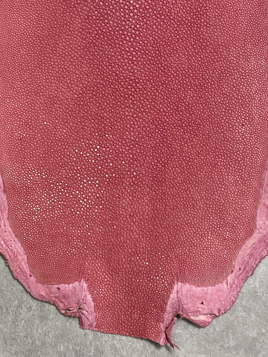 画像4: スティングレイ　吟スリ　ロング　ピンク　8インチ　エイ革　ガルーシャ (4)