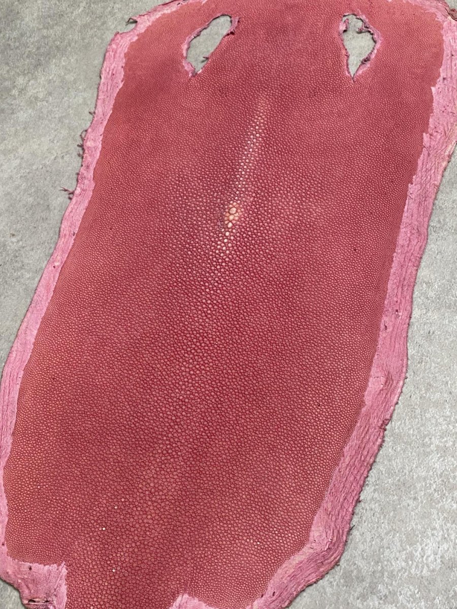 画像5: スティングレイ　吟スリ　ロング　ピンク　8インチ　エイ革　ガルーシャ (5)