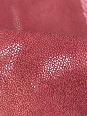 画像6: スティングレイ　吟スリ　ロング　ピンク　8インチ　エイ革　ガルーシャ (6)