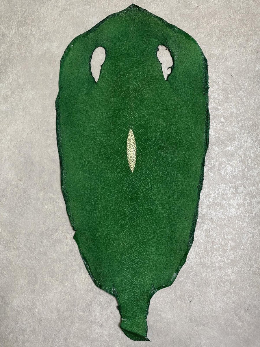 画像1: スティングレイ　グリーン　８インチ　エイ革　ガルーシャ (1)