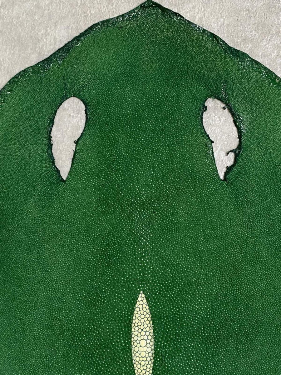 画像2: スティングレイ　グリーン　８インチ　エイ革　ガルーシャ (2)