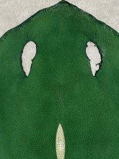 画像2: スティングレイ　グリーン　８インチ　エイ革　ガルーシャ (2)