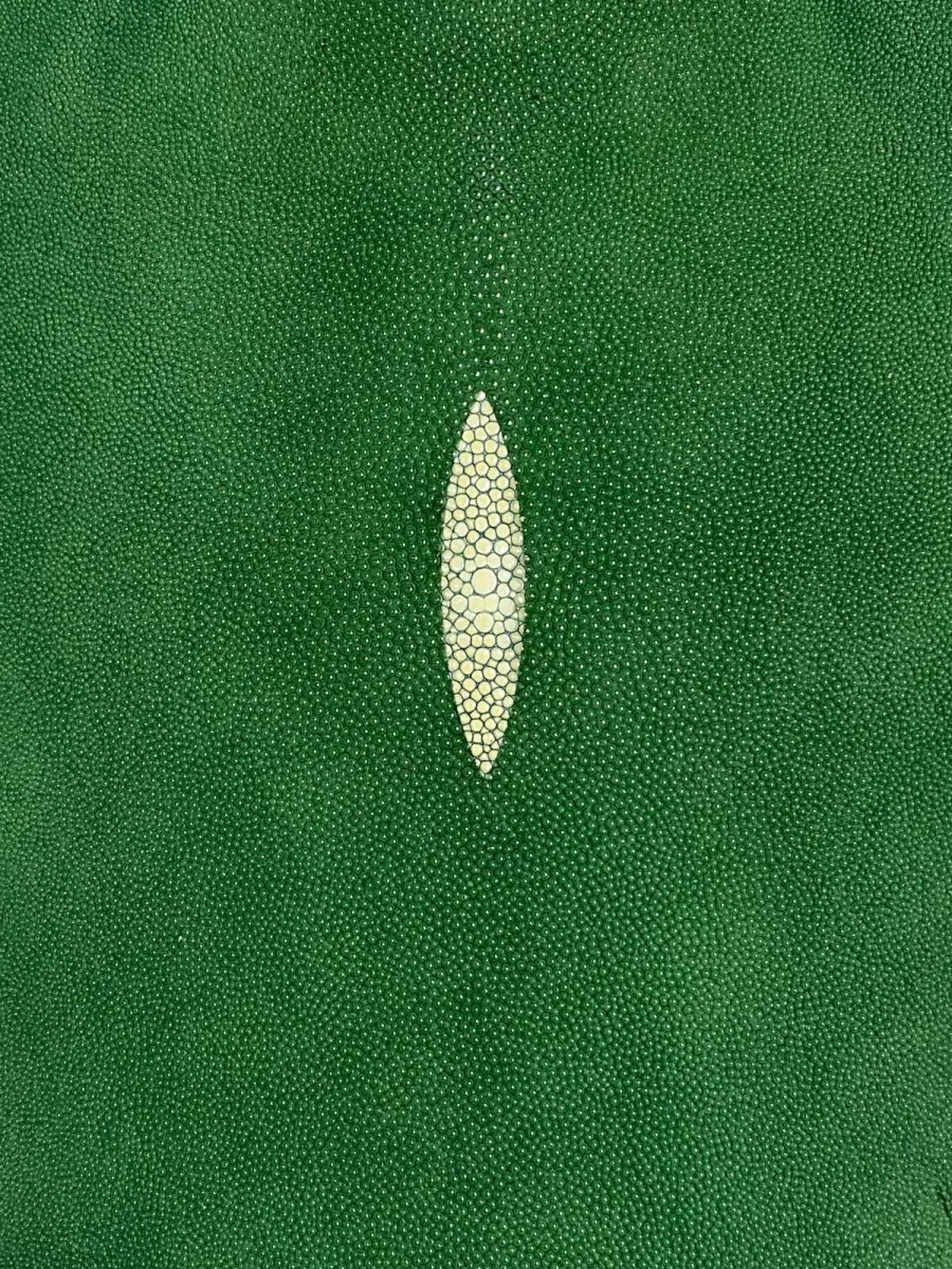 画像3: スティングレイ　グリーン　８インチ　エイ革　ガルーシャ (3)