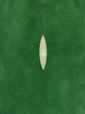 画像3: スティングレイ　グリーン　８インチ　エイ革　ガルーシャ (3)