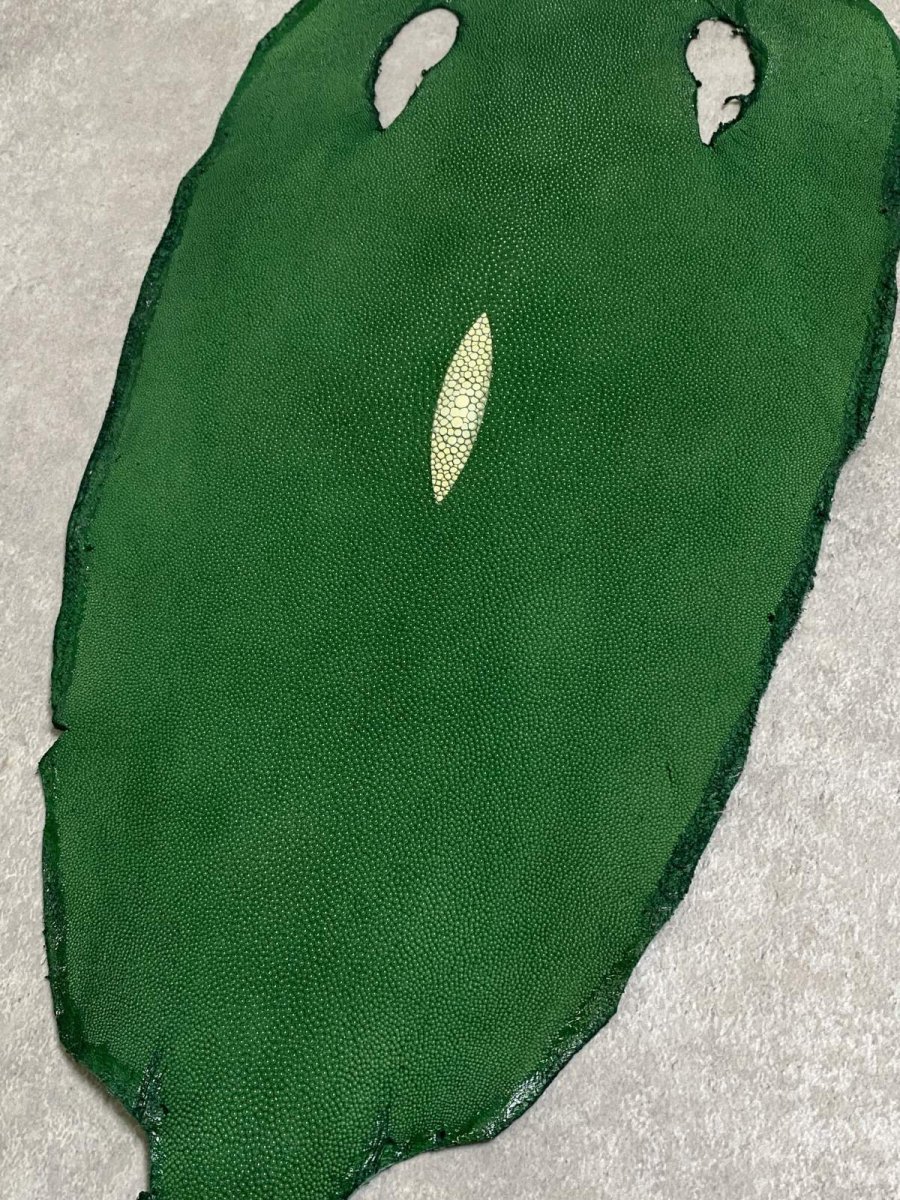 画像5: スティングレイ　グリーン　８インチ　エイ革　ガルーシャ (5)