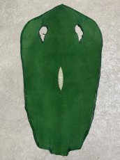 画像1: スティングレイ　グリーン　８インチ　エイ革　ガルーシャ (1)