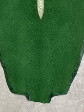 画像4: スティングレイ　グリーン　８インチ　エイ革　ガルーシャ (4)