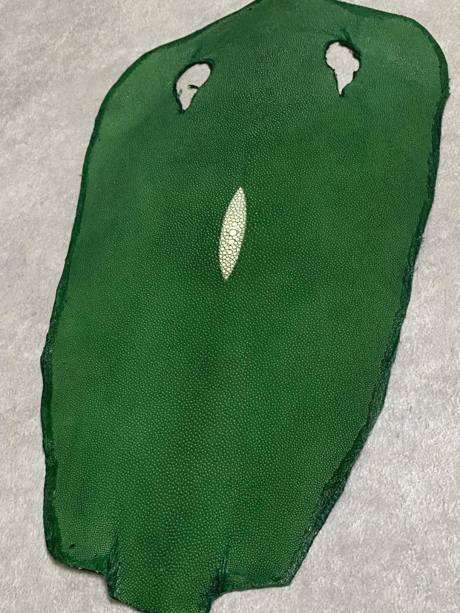 画像5: スティングレイ　グリーン　８インチ　エイ革　ガルーシャ (5)