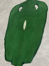 画像5: スティングレイ　グリーン　８インチ　エイ革　ガルーシャ (5)