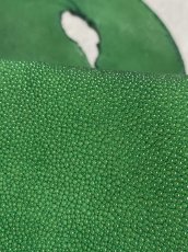 画像6: スティングレイ　グリーン　８インチ　エイ革　ガルーシャ (6)