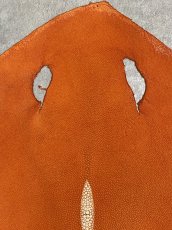 画像2: スティングレイ　オレンジ　８インチ　エイ革　ガルーシャ (2)