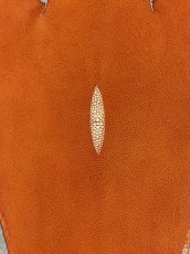 画像3: スティングレイ　オレンジ　８インチ　エイ革　ガルーシャ (3)